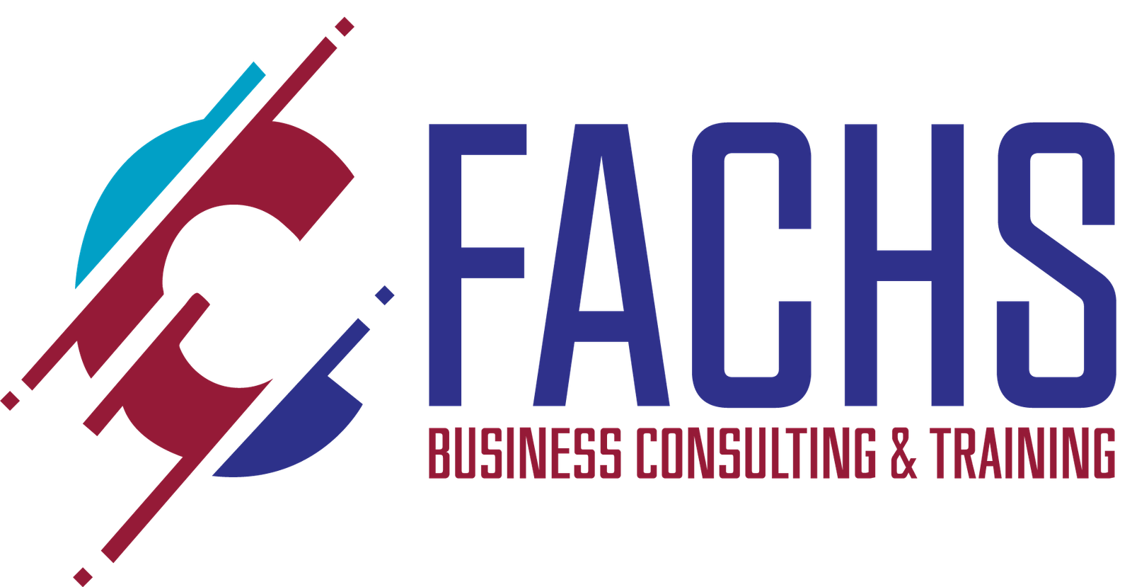 FASCHS Business Consulting and Training logo